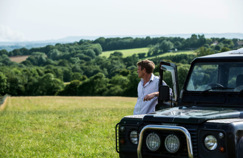 The Marvellous Meat Co